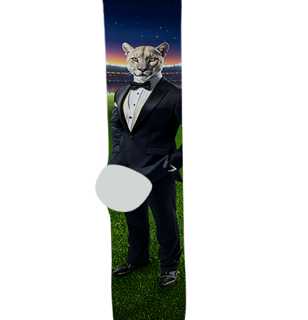 Desert Hills High School Socks