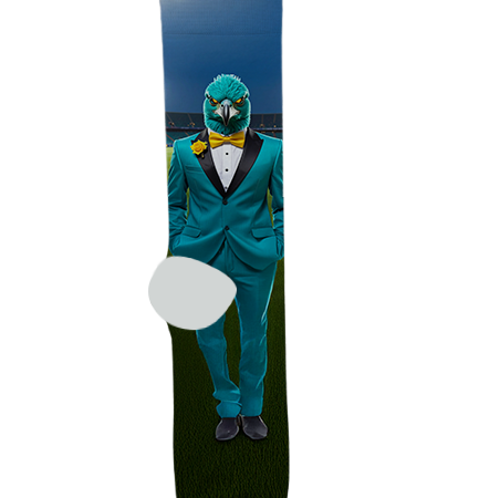 Highland High School Socks