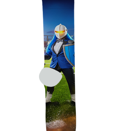 Higley High School Socks