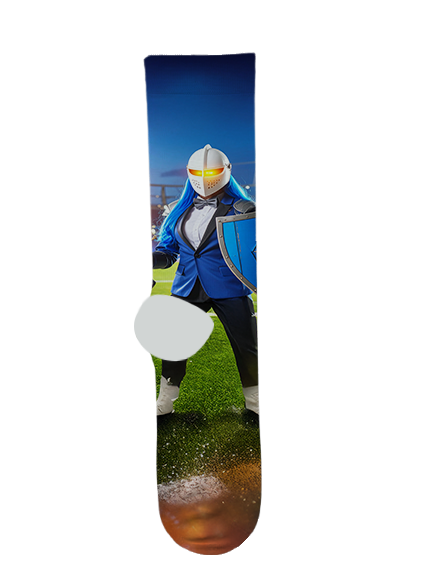 Higley High School Socks