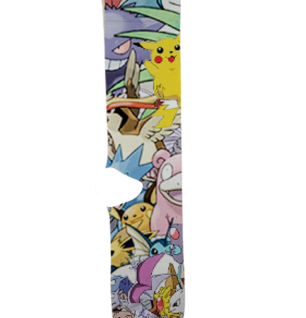 Pokemon Socks