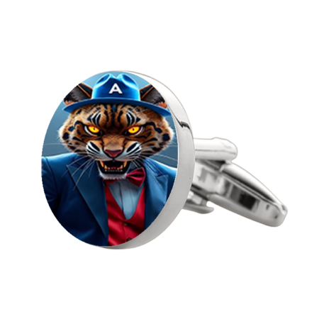 The University of Arizona