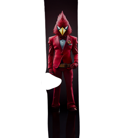 Arizona Cardinals Socks – Premium Custom Socks for NFL Fans