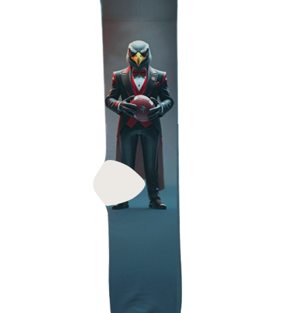 Atlanta Falcons Socks – Premium Custom Socks for NFL Fans