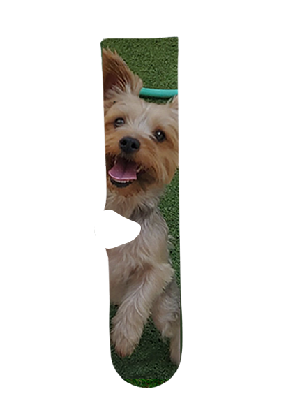 Buddy Socks – Premium Custom Socks for Buddy Fans