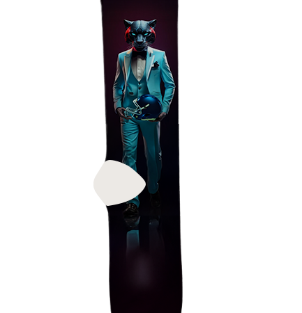 Carolina Panthers Socks – Premium Custom Socks for NFL Fans