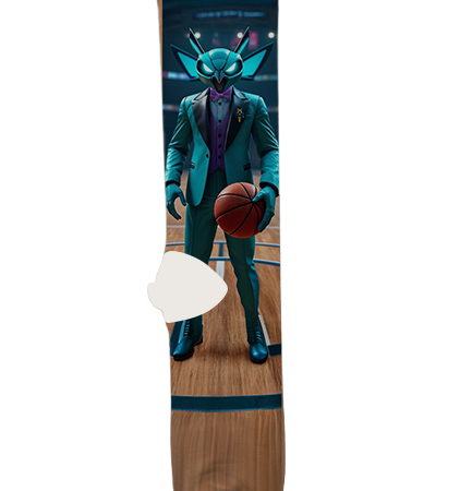 Charlotte Hornets Socks – Premium Custom Socks for NBA Fans