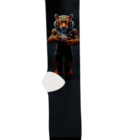 Cincinnati Bengals Socks – Premium Custom Socks for NFL Fans