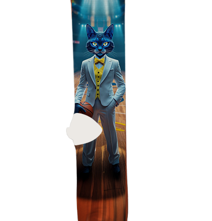 Indiana Pacers Socks – Premium Custom Socks for NBA Fans