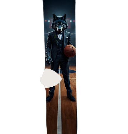 Minnesota Timberwolves Socks – Premium Custom Socks for NBA Fans