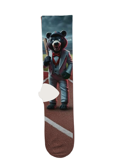 Minnesota Twins Socks – Premium Custom Socks for MLB Fans