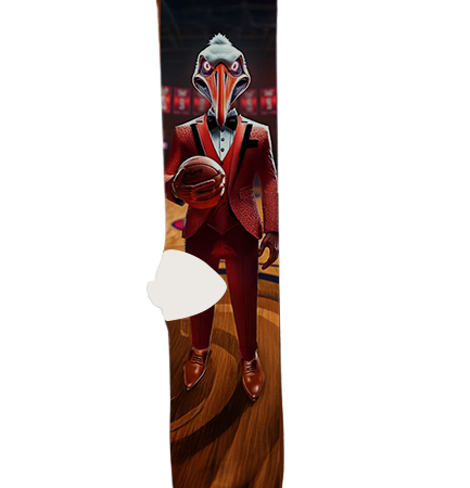 New Orleans Pelicans Socks – Premium Custom Socks for NBA Fans