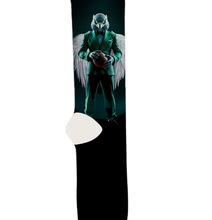 Philadelphia Eagles Socks – Premium Custom Socks for NFL Fans