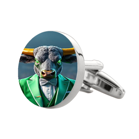 University of South Florida Cufflinks