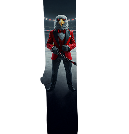 Washington Capitals Socks – Premium Custom Socks for NHL Fans