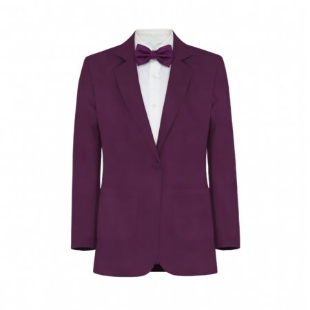Plum Mesh Suit and Tuxedo - Exact Color Match for David's Bridal Bridesmaid Dresses